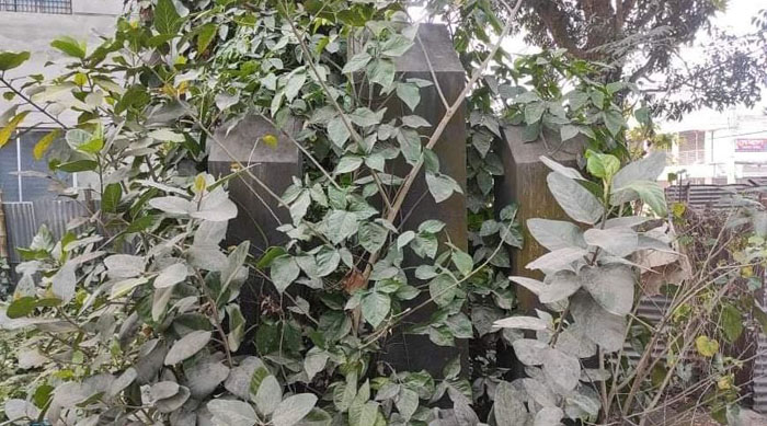 ফরিদপুরে গুমরে কাঁদছে শহীদ মিনারটি, শ্রদ্ধাও নেই যত্নও নেই!